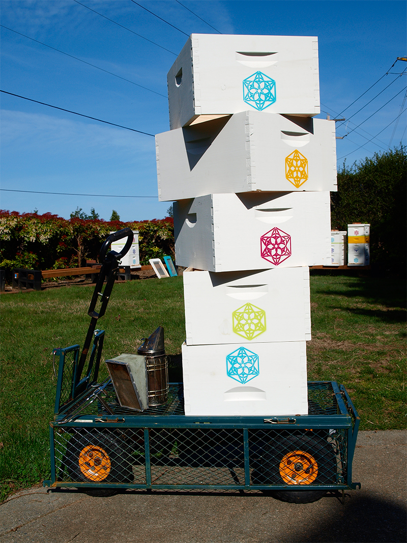 Hive Boxes