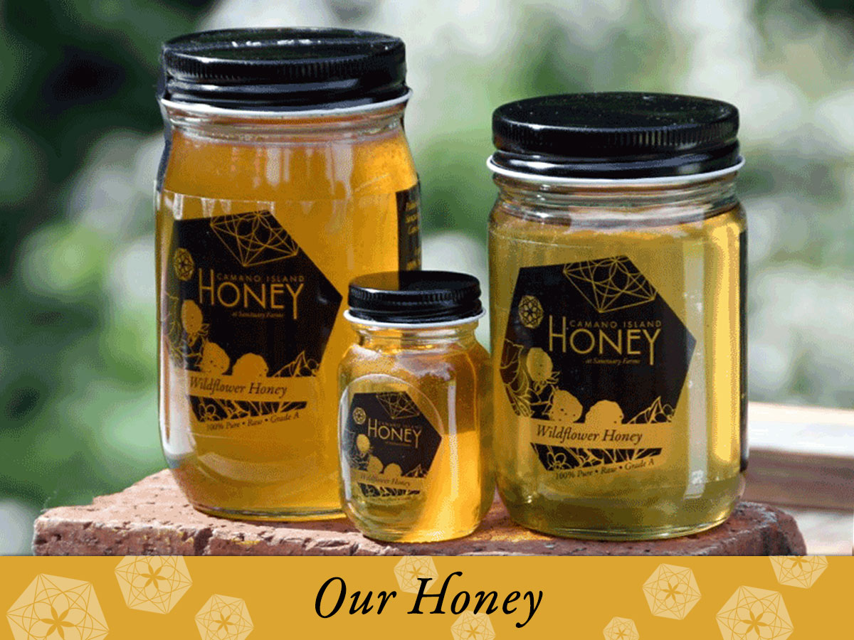 Home - Camano Island Honey at Sanctuary Farms, Stanwood, and the Skagit ...